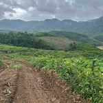Bán 7.5 hecta đất rừng sản xuất view sông, Đà Nẵng - Ảnh thu nhỏ 4