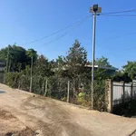 Đất bán 10x29m góc 2 mặt tiền Phường Thành Nhất Hóc Môn - Ảnh thu nhỏ 2