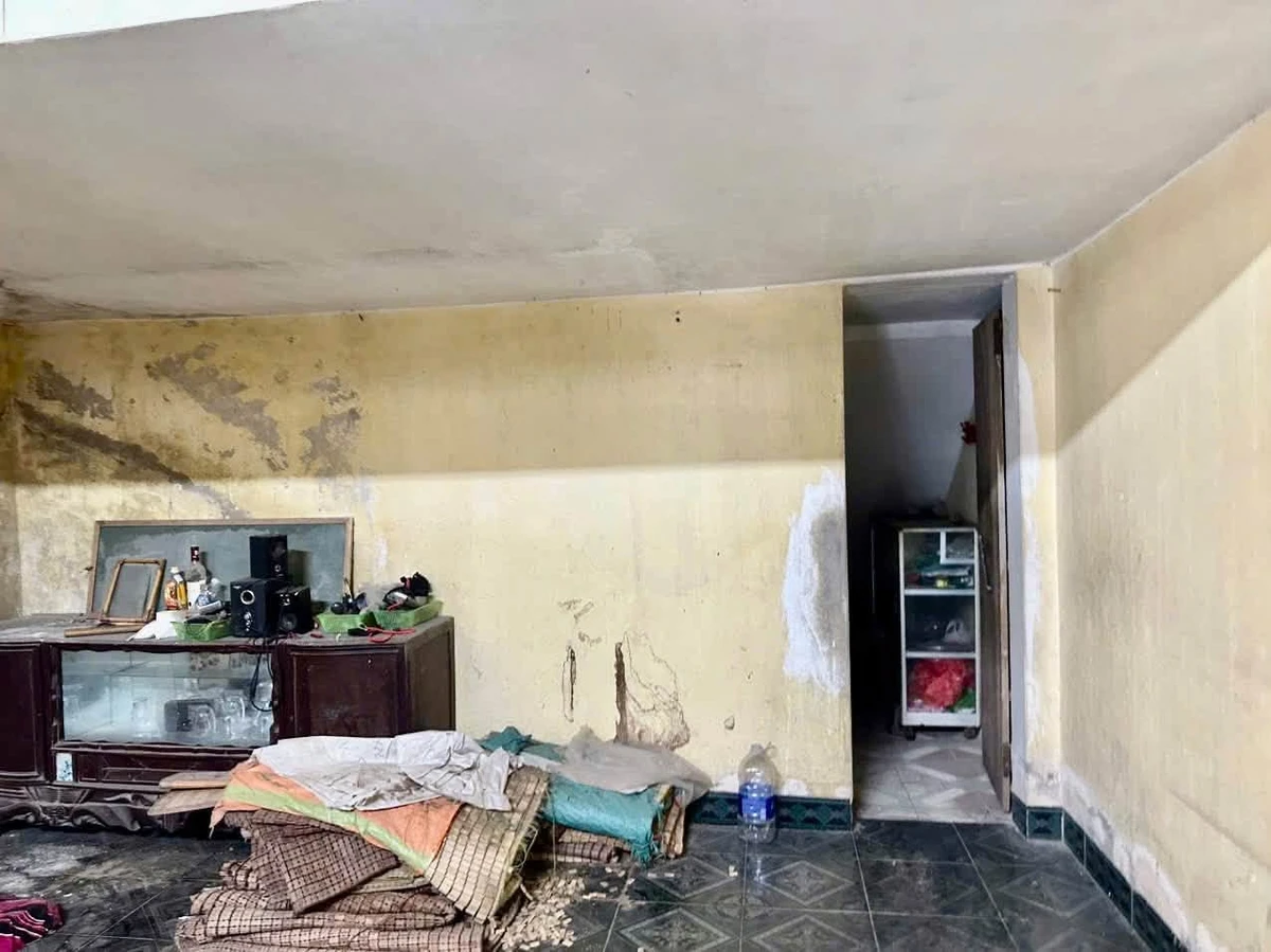 Bán đất 54.2m² mặt tiền 4.95m tặng nhà 2 tầng Phố 6 Đông Thành - Ảnh 1