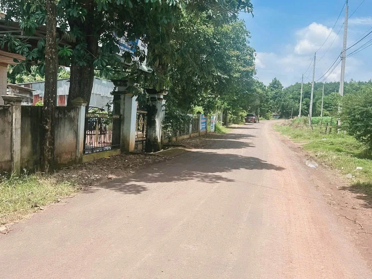 Bán lô đất 250m² Lộc Quang Cần Giờ 100 triệu - Ảnh thu nhỏ 2