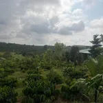 Bán lô đất vườn gần 1,4 ha mặt đường, cà phê và cau, giá 2,25 tỷ tại Ea Ihao, Đắk Lắk - Ảnh thu nhỏ 1