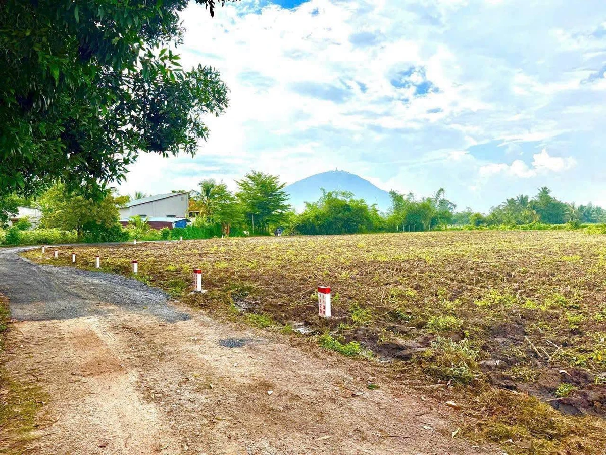Bán đất nền 575m² xã Phan, Tây Ninh, 280 triệu - Ảnh thu nhỏ 3