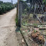 Bán lô đất thổ cư 5x31m chính chủ tại thị trấn Tầm Vu, Châu Thành, Long An giá 600 triệu - Ảnh thu nhỏ 3
