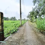 Bán 2 công đất vườn 2 mặt tiền Lợi Bình Nhơn, Tân An 2000m² - Ảnh thu nhỏ 2