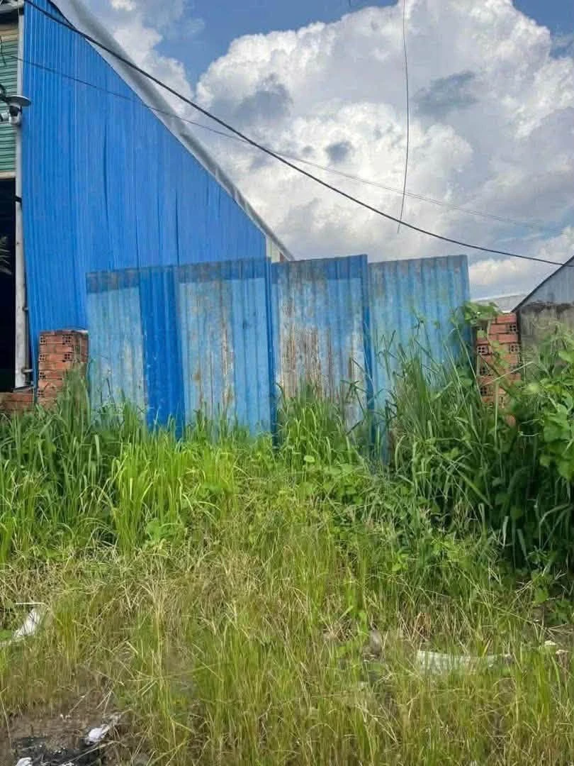 Bán đất mặt tiền Nguyễn Hoàng, 5×67m, kinh doanh, Trảng Bom - Ảnh thu nhỏ 2