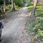 Bán đất nền 10×47m, 600 triệu ở Vĩnh Long - Ảnh thu nhỏ 4