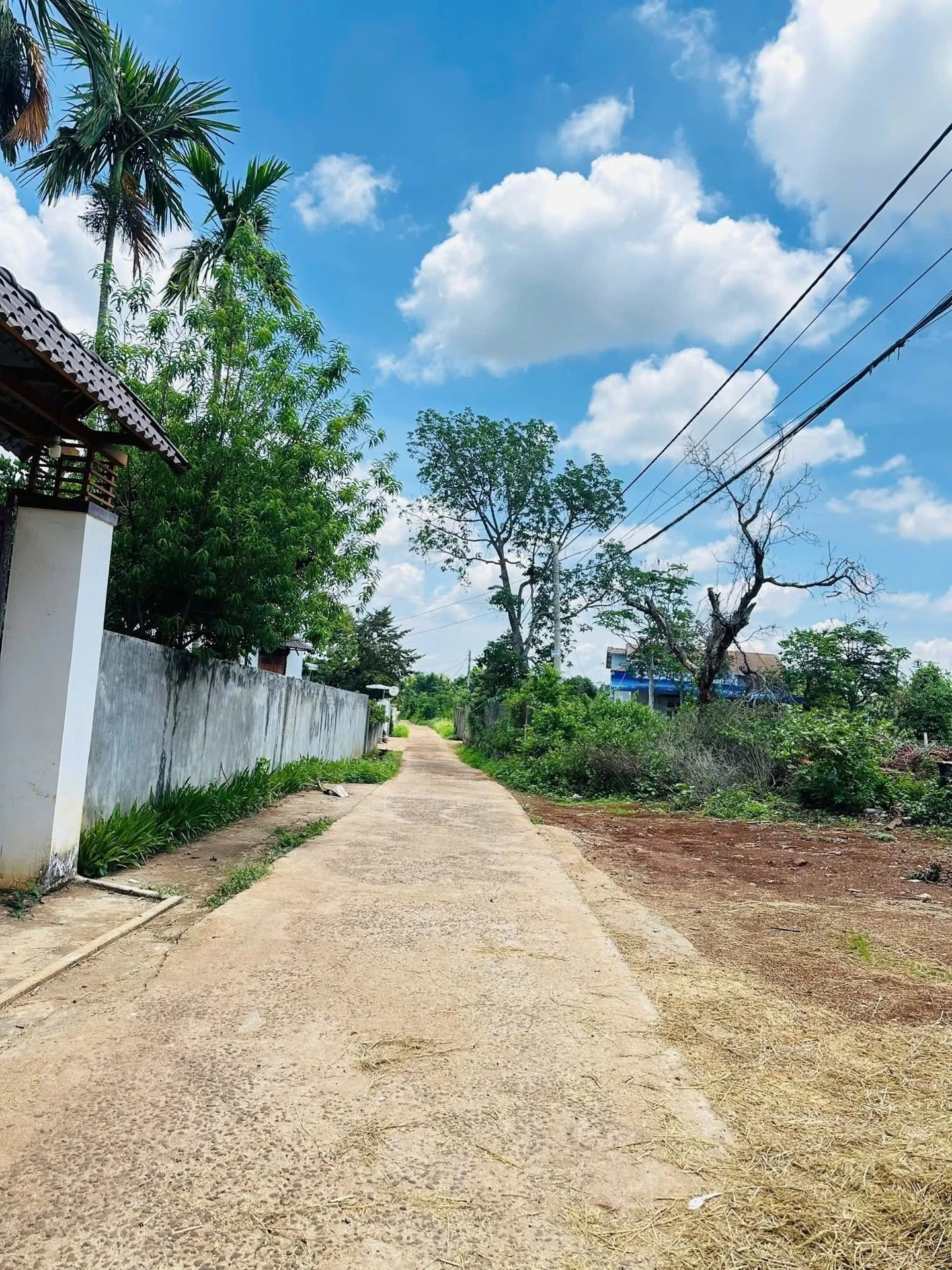 Bán đất hẻm Y Wang, phường Ea Kao, Buôn Ma Thuột 150m2 giá 890 triệu - Ảnh 1