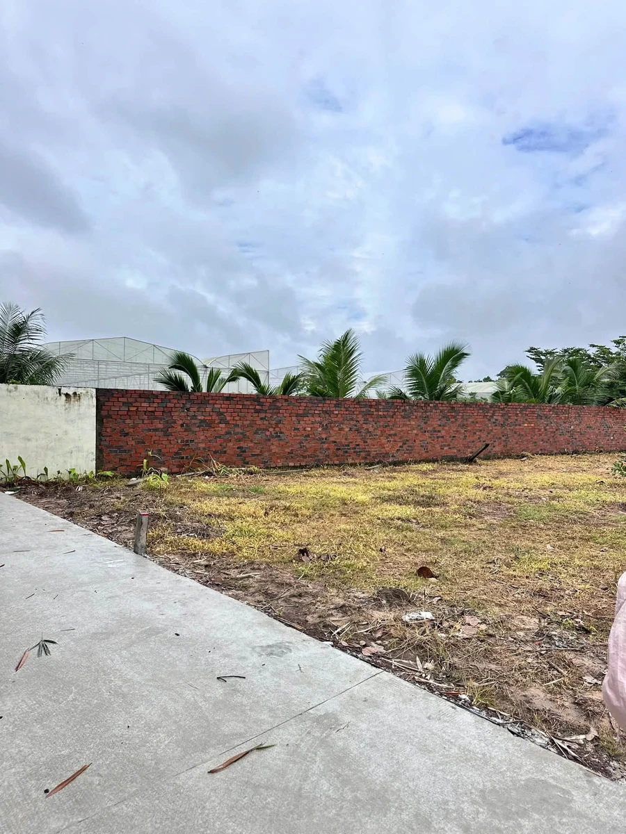 Bán đất nền 250m² gần Chợ Suối Cát, giá 550 triệu - Ảnh thu nhỏ 3