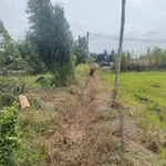 Bán nền đất full thổ 1677 m² giá 1 tỷ 750 triệu tại Tây Ninh - Ảnh thu nhỏ 4