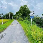 Bán đất nền thổ cư 216m2 giá 280 triệu tại Bình Phan, Chợ Gạo - Ảnh thu nhỏ 1