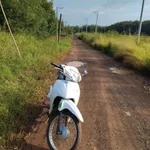 Bán gấp 4000m2 đất Đồng Phú, Bình Dương - Ảnh thu nhỏ 1