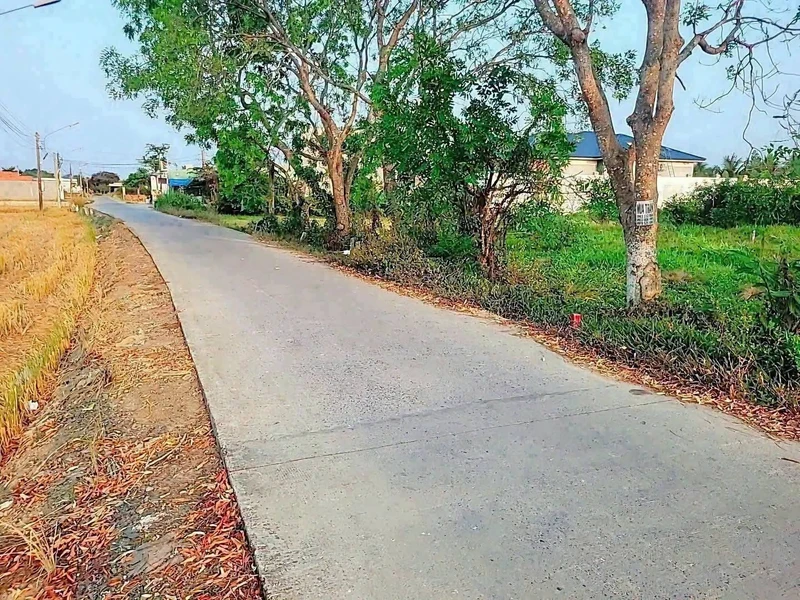 Bán đất thổ cư mặt tiền đường đan 300m2 ấp 3B Phước Lợi, Bến Lức