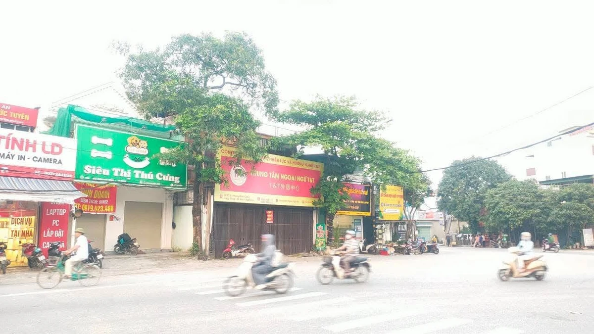 Bán nhà mặt đường kinh doanh Võ Nguyên Hiến, 127.8m2, Tân Bình - Ảnh thu nhỏ 4