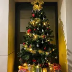 Bán nhà Tân Bình 70m2 2 phòng ngủ 11,99 tỷ - Ảnh thu nhỏ 3