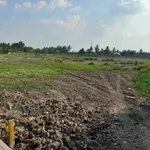 Bán đất lộ ô tô mặt kênh Thạnh Lộc 290 m² 650 triệu - Ảnh thu nhỏ 3