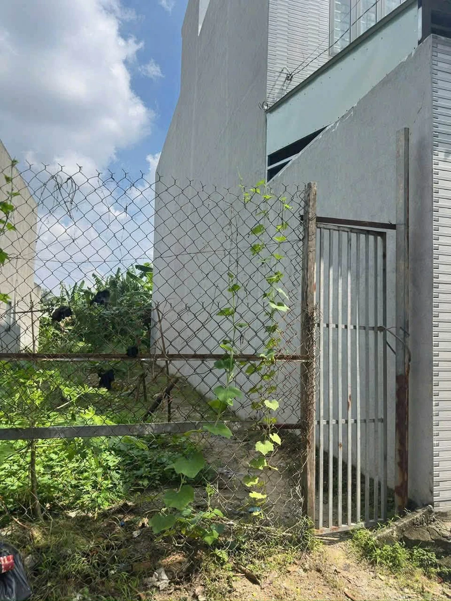 Bán đất 102 m² Phường Thuận An, Bình Dương - Ảnh 1
