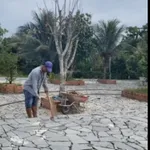Sở hữu biệt thự vườn ven sông cửa ngõ Bến Tre cách Sài Gòn chỉ một cây cầu! - Ảnh thu nhỏ 2