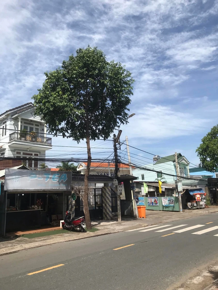 Bán nhà mặt tiền Nguyễn Văn Rành, Tân An Long An, 106m², 4.2 tỷ - Ảnh thu nhỏ 5