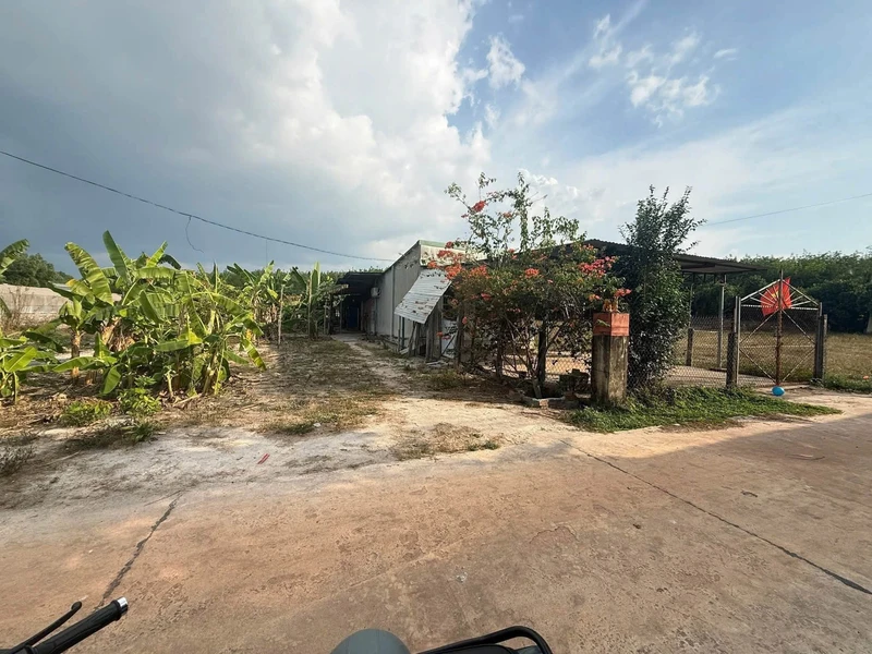 Bán nhà 3 phòng ngủ 146,6 m² Bửu Long phin