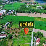Bán đất nền 200m² full thổ cư Tây Ninh 299 triệu - Ảnh thu nhỏ 2
