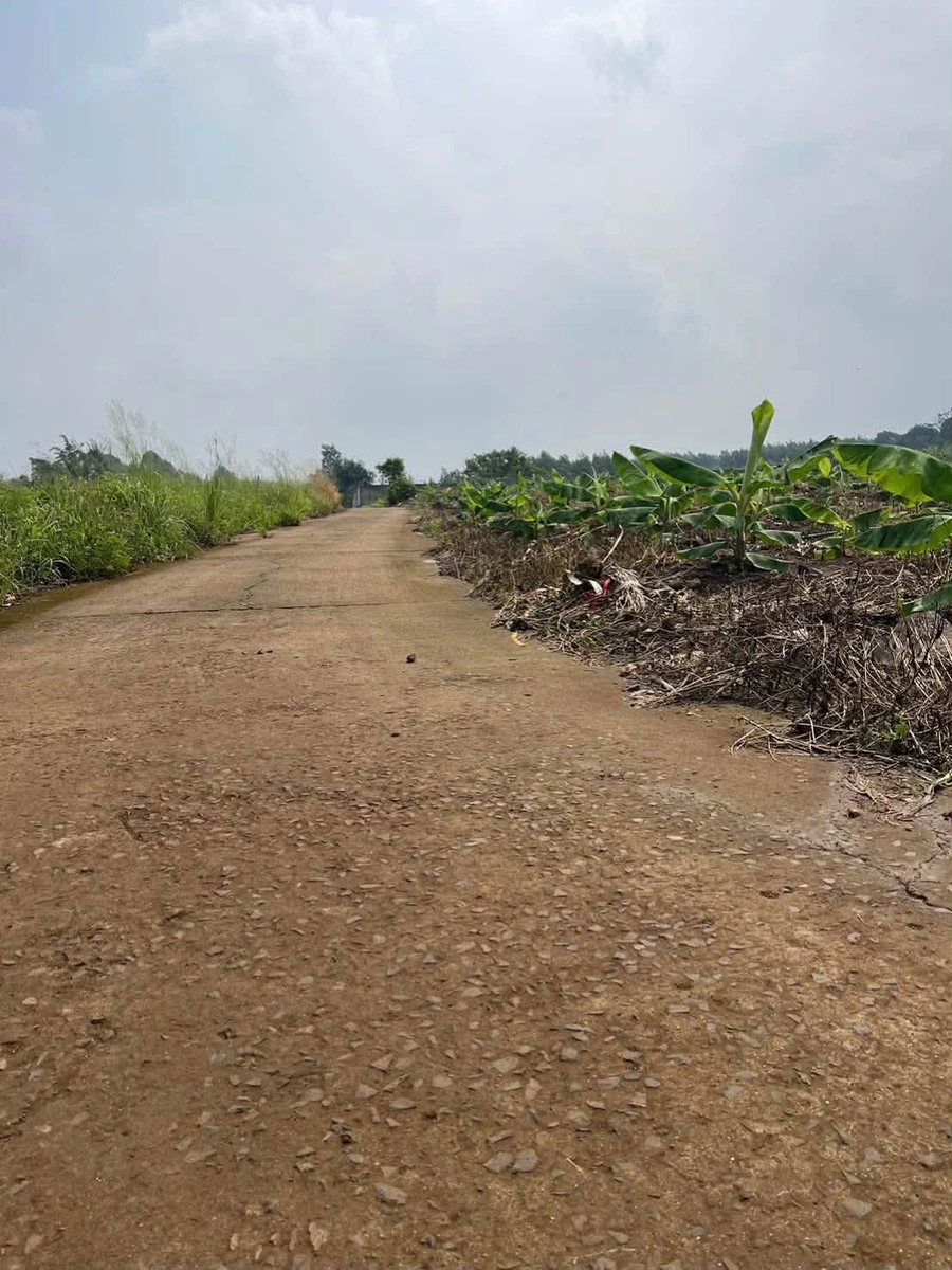 Bán đất 6600m² sổ riêng Đường 769, Bình Dương - Ảnh thu nhỏ 3