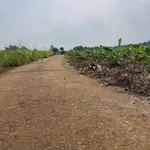Bán đất 6600m² sổ riêng Đường 769, Bình Dương - Ảnh thu nhỏ 3