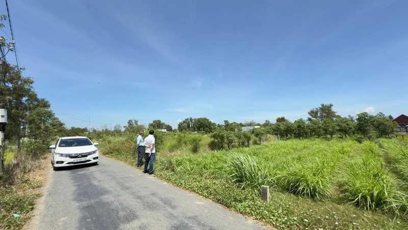 Bán đất mặt tiền đường nhựa 2.000m² giá 6,5 tỷ tại Gò Công, Đồng Tháp