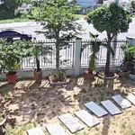 Bán biệt thự vườn 542m² mặt tiền Tỉnh Lộ 44B Long Điền - Ảnh thu nhỏ 5