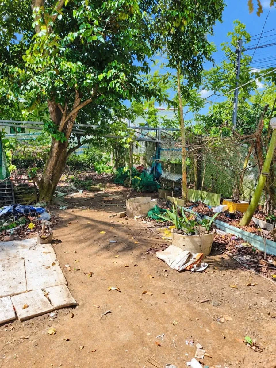 Bán nhà sân vườn 488m² Bình Phú Bến Tre - Ảnh thu nhỏ 4
