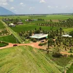 Bán lô đất 1.000m² tại Dương Minh Châu, Tây Ninh - 220 triệu - Ảnh thu nhỏ 3