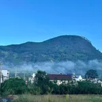 Bán đất 100m² Định An cửa ngõ Đà Lạt từ 1,23 tỷ - Ảnh thu nhỏ 4