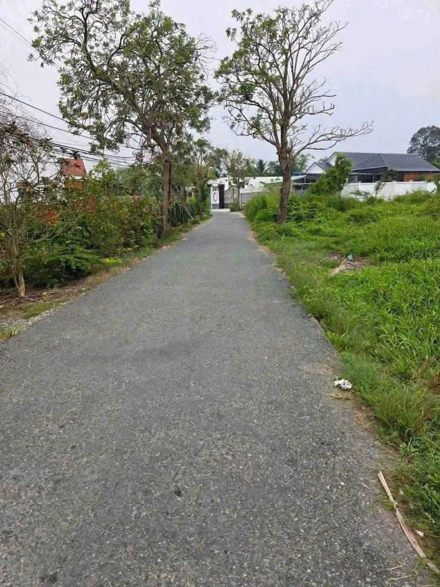 Bán 1.000m2 đất mặt tiền xã Vĩnh Công, Châu Thành, Long An giá 799 triệu - Ảnh 1