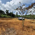 Bán đất 622m² mặt tiền 23m Hợp Phong, Cao Phong, Hoà Bình 599 triệu - Ảnh thu nhỏ 3