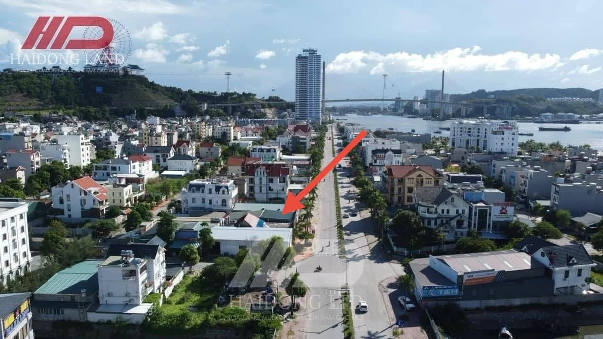 Bán đất mặt đường Trần Thái Tông Hạ Long 300m2 - Ảnh 1