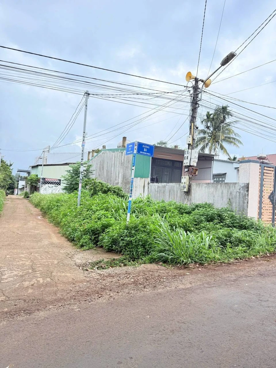 Bán lô đất 2 mặt tiền Mậu Thân, Nhà Bè 121,5m² 1 tỷ 350 - Ảnh thu nhỏ 2