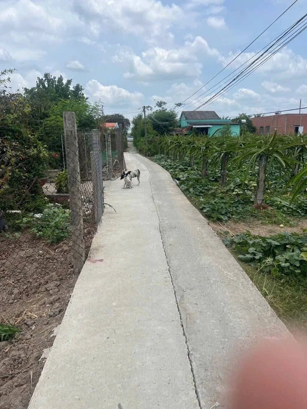 Bán đất 5x27m² An Lục Long An 230 triệu