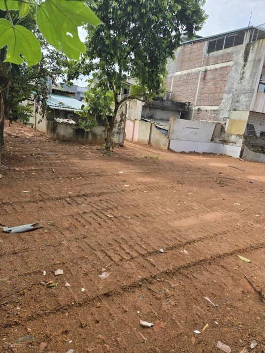 Chính chủ gửi bán đất 289.5m2 Phong Châu, Phù Ninh, Phú Thọ, sổ đỏ chính chủ giá rẻ - Ảnh thu nhỏ 2