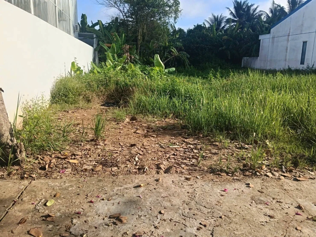 Bán nền đất Phú An Hòa 156m² Nhà Bè - Ảnh 1