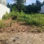 Bán nền đất Phú An Hòa 156m² Nhà Bè - Ảnh thu nhỏ 1