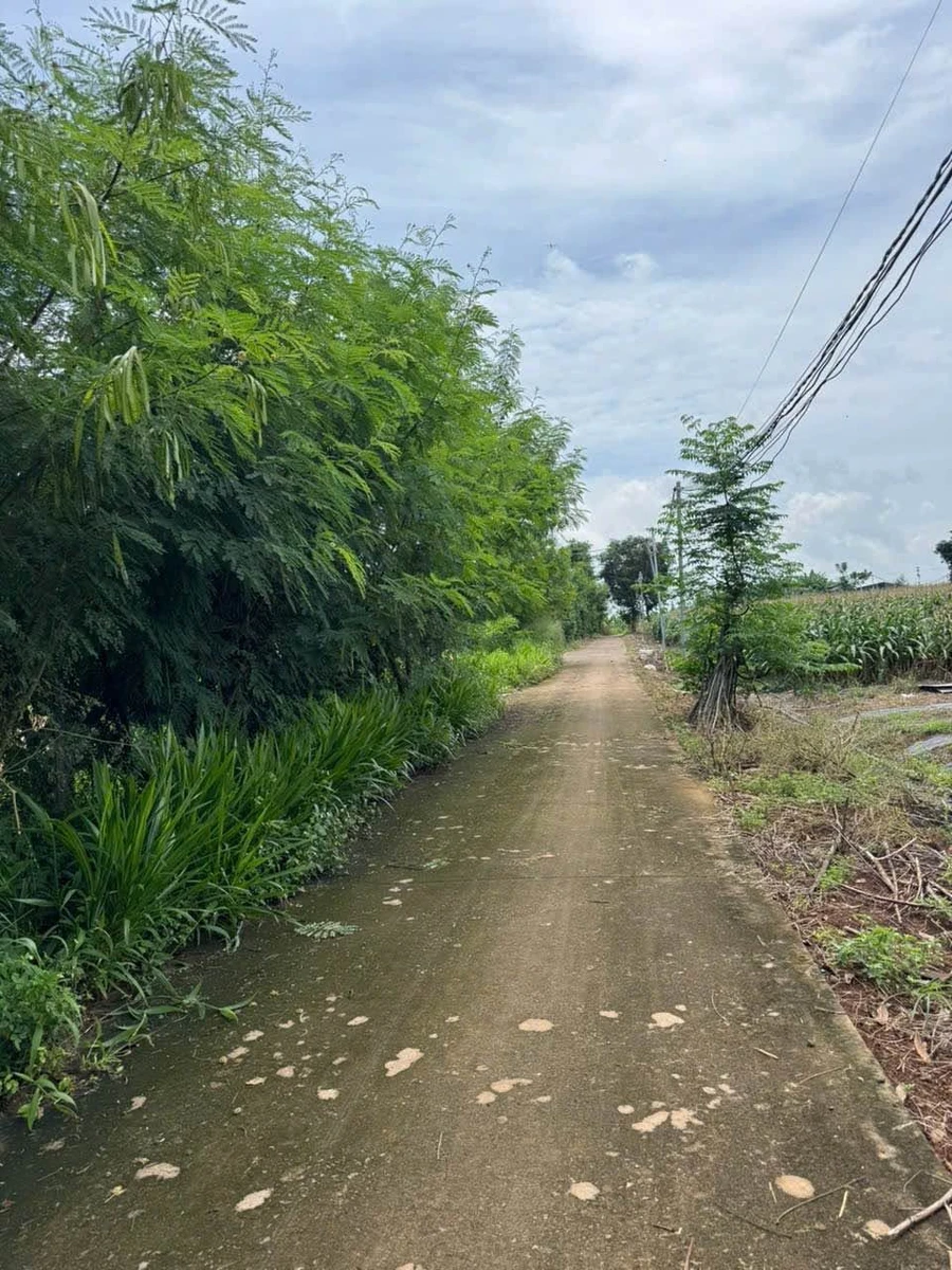 Bán đất 2500m2 nhà vườn nghỉ dưỡng Cẩm Mỹ - Ảnh thu nhỏ 5