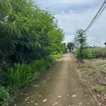 Bán đất 2500m2 nhà vườn nghỉ dưỡng Cẩm Mỹ - Ảnh thu nhỏ 5