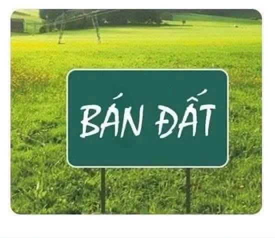 Bán đất 100m2 Cộng Hoà 1, Trương Quang Trọng - Ảnh 1