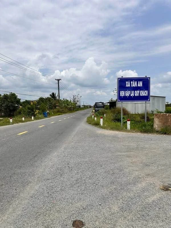 Bán vườn dừa tơ 7.500m² Sóc Trăng 299tr/1000m² - Ảnh thu nhỏ 2