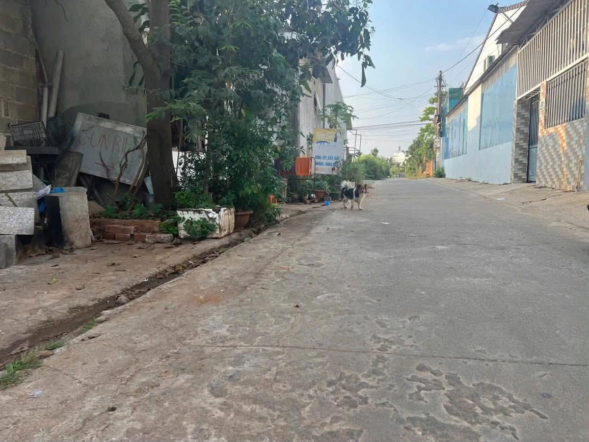 Bán đất mặt tiền Phạm Ngũ Lão 5.4×30.4m 3.25 tỷ - Ảnh thu nhỏ 2