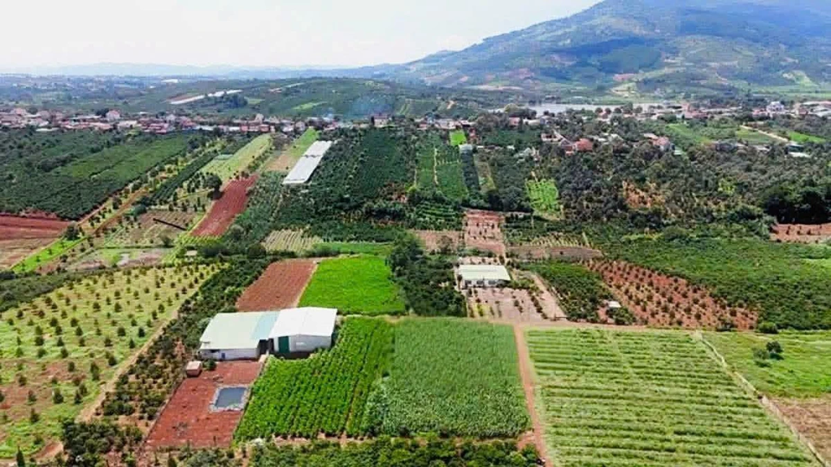 Bán đất 407m2 tại Đinh Lạc, Di Linh, Lâm Đồng - 850 triệu - Ảnh thu nhỏ 3