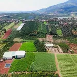 Bán đất 407m2 tại Đinh Lạc, Di Linh, Lâm Đồng - 850 triệu - Ảnh thu nhỏ 3