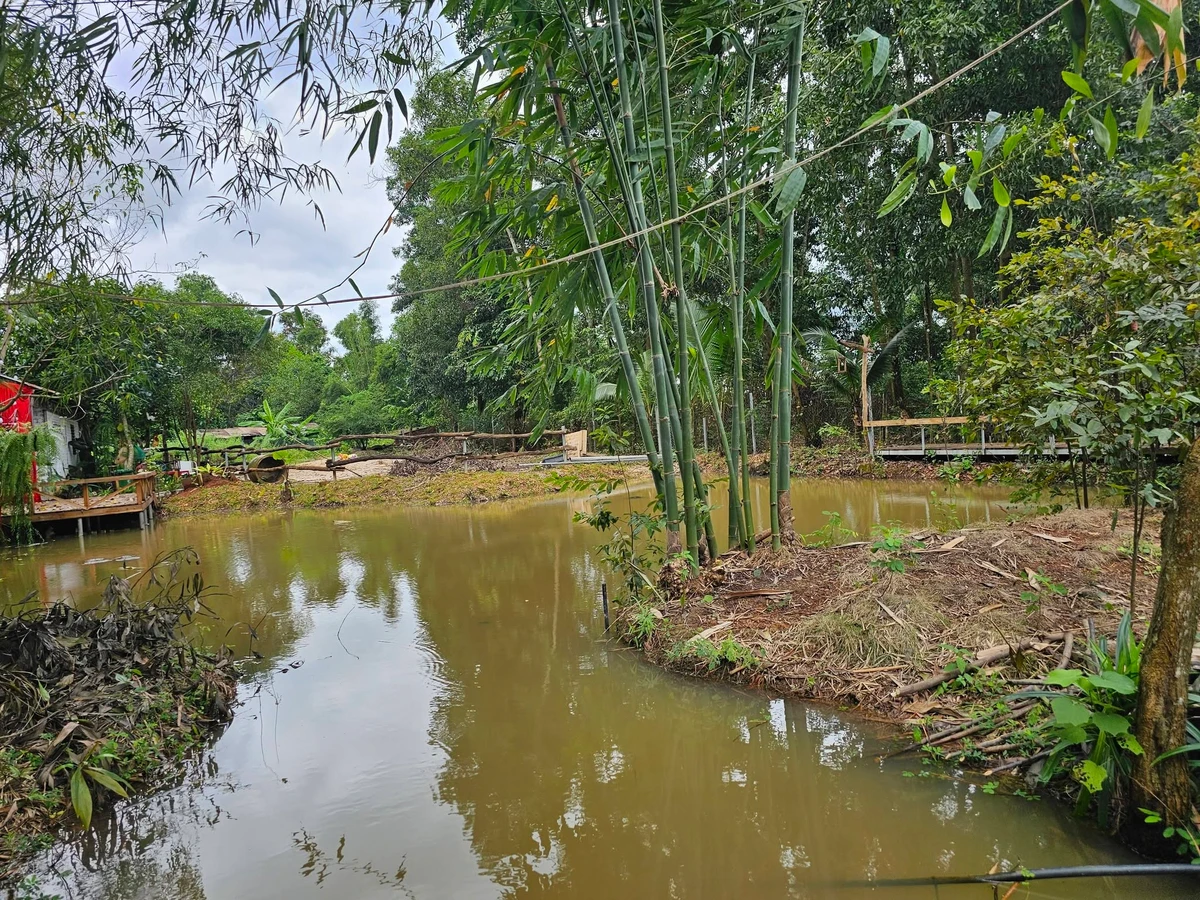 Bán farm sinh thái 7000m2 Đồng Xoài, Bình Dương - Ảnh thu nhỏ 3