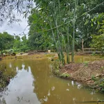 Bán farm sinh thái 7000m2 Đồng Xoài, Bình Dương - Ảnh thu nhỏ 3