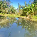 Bán 1.200m² đất Ô Việt Ê Pan, Bình Chánh - Ảnh thu nhỏ 5