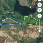 Bán đất nông nghiệp 1 mẫu tại Khu Kê, Bình Thuận - Ảnh thu nhỏ 2